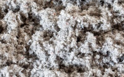 Ocieplenie celulozą – 7 powodów, dla których warto wybrać ekologiczną izolację domu