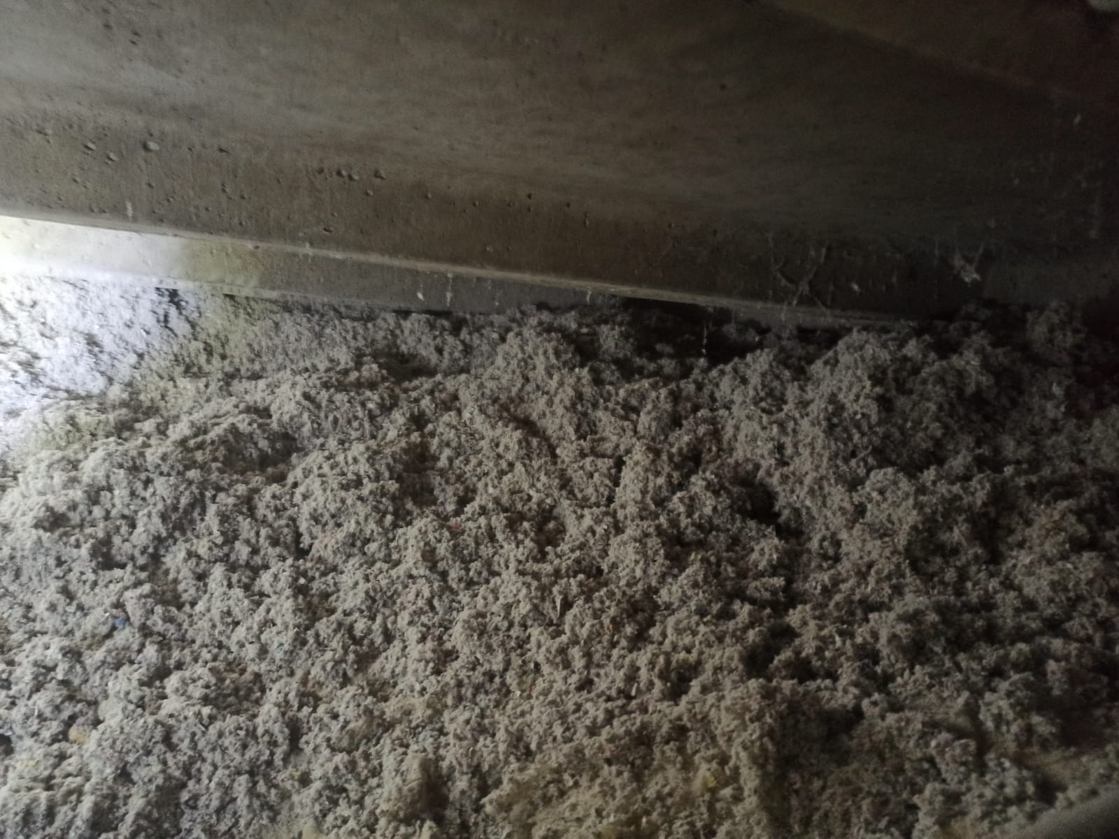 Ocieplenia-celuloza.pl