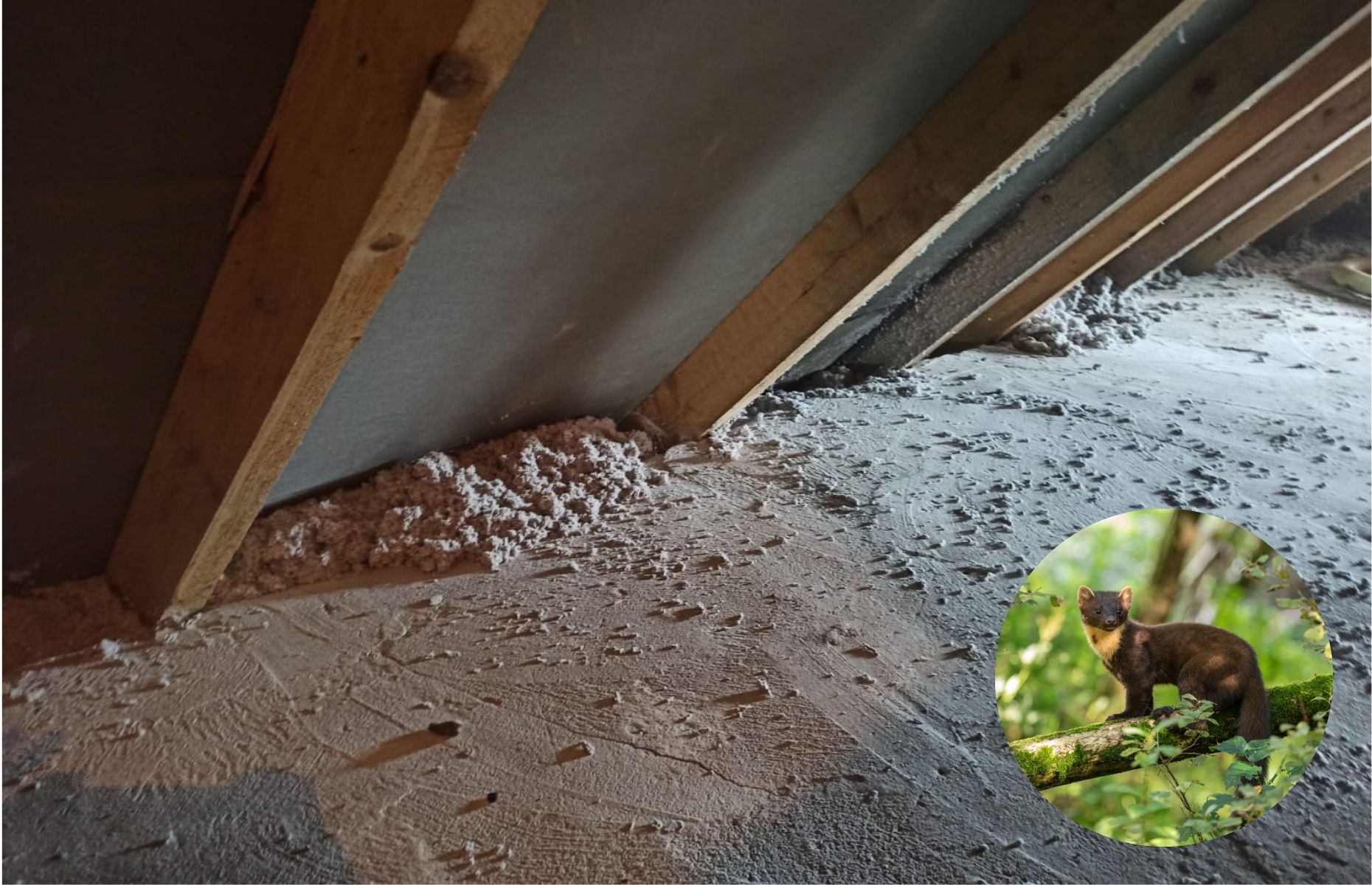 Naprawa dachu po kunie