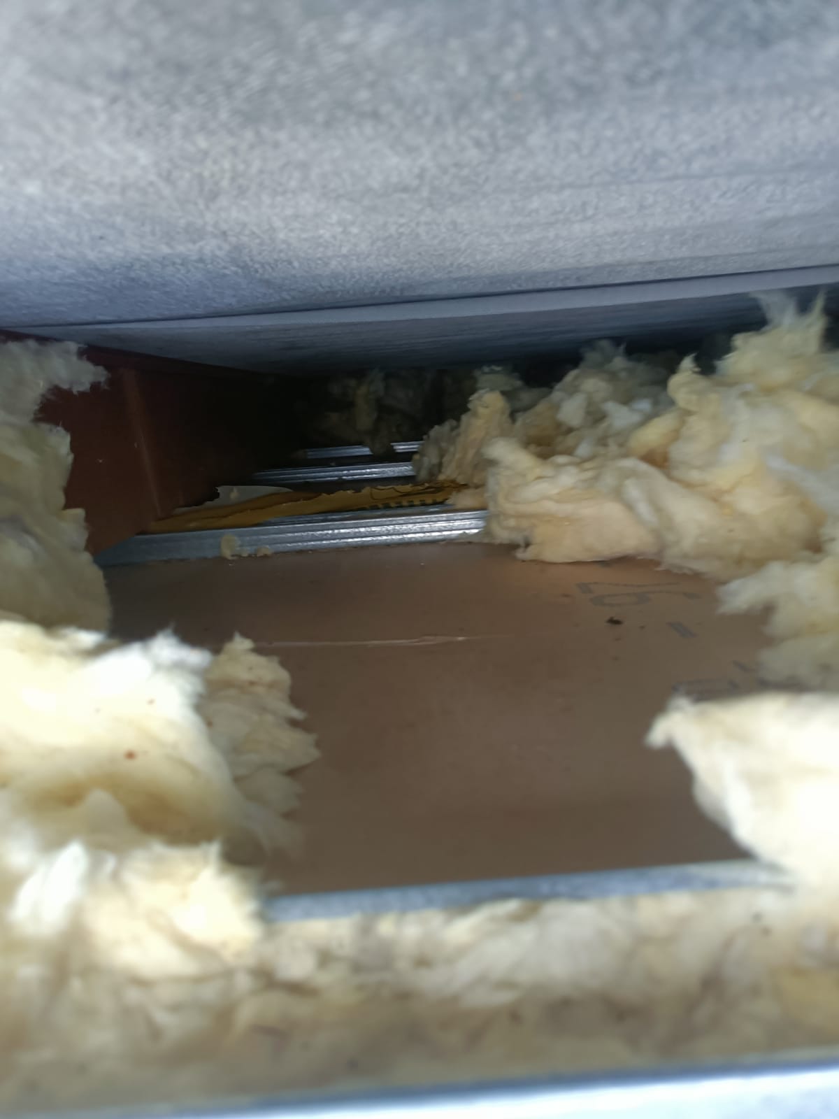 Naprawa po kunie - zniszczenie ocieplenia przez kune