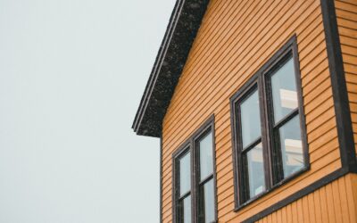 Celuloza to najbezpieczniejsza izolacja do domów z drewna i bali?