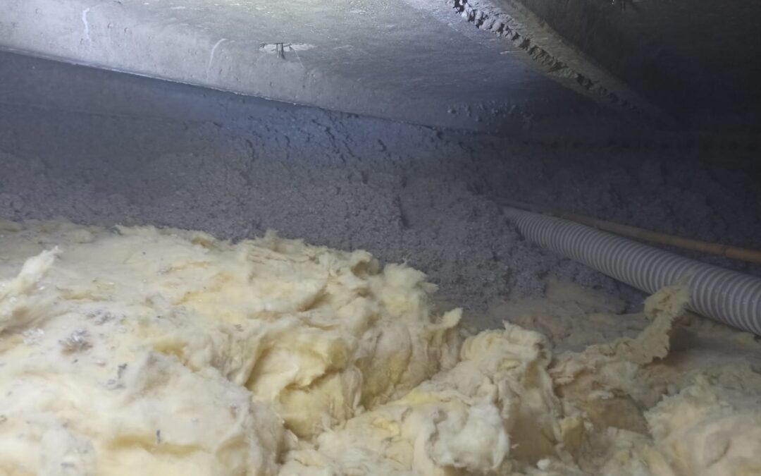 Badania naukowe o skuteczności celulozy w ociepleniach. Przegląd informacji