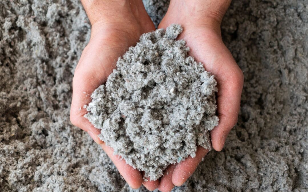 Dlaczego inwestorzy wybierają celulozę mimo wyższej ceny początkowej? Analiza ukrytych kosztów