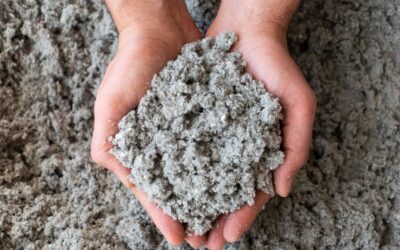 Dlaczego inwestorzy wybierają celulozę mimo wyższej ceny początkowej? Analiza ukrytych kosztów