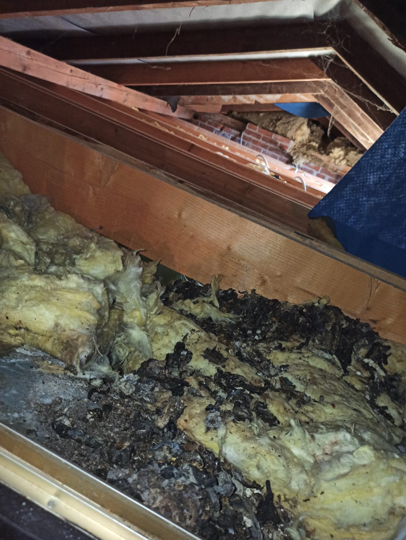 Wdmuchiwanie celulozy