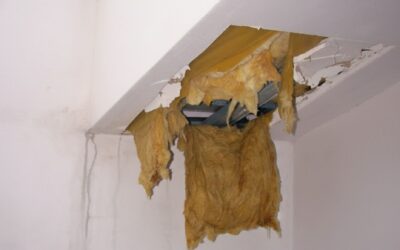 Dlaczego na poddaszu skrapla się woda? Przyczyny kondensacji i jak jej zapobiegać