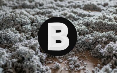 Sole boru w celulozie – dlaczego ten jeden składnik sprawia, że kuny omijają Twój dach szerokim łukiem?